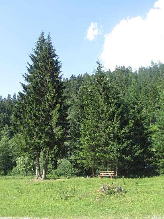 Schwarzenbacher Lungötz Chambre photo
